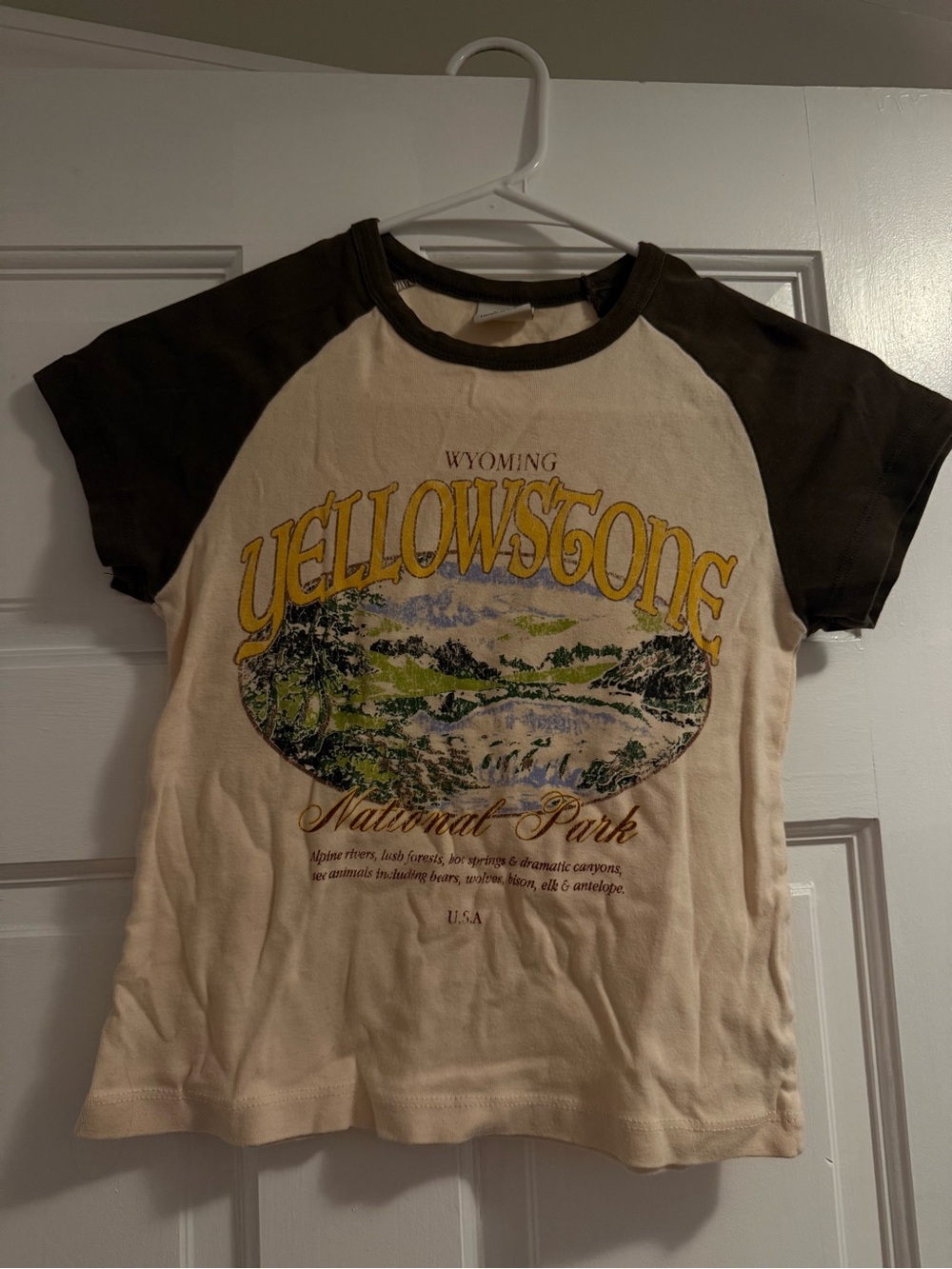 Urban Outfitters Cream Tee with Brown Raglan Sleeves and Yellow Graphic